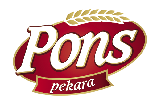 Pons
